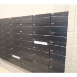 T’s garden柏 309-12