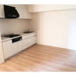 トリニティー芝浦 1107-11