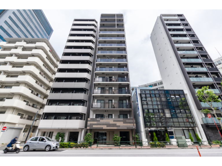 ＡＲＴＥＳＳＩＭＯ　ＰＩＴＯＲＥ 703