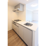 プライマルイプセ池尻大橋 1102-5