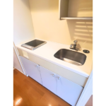 ライオンズプラザ元住吉 309-5