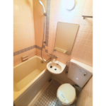 ライオンズプラザ元住吉 309-6