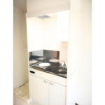 ライズ恵比寿壱番館 204-5