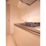 リブリ・ST金町 305-13