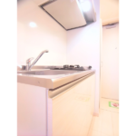 リブリ・ST金町 305-7