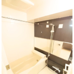 ヴィーダ・スカイコート品川 108-7