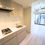 シーズンフラッツ両国サウス 905-4