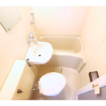 メゾンドネオ柏 202-10