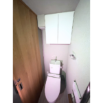 Brillia Tower浜離宮 702-3