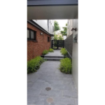 S-FORT駒沢大学-6