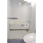 Ｇ－ＦＬＡＴ 106-9