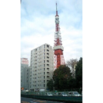 Ｔｉ－ＨＩＧＡＳＨＩＡＺＡＢＵ 604-3