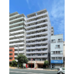 S-FORT錦糸町 602-1