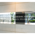 ルフレ グランデ新川崎 301-3
