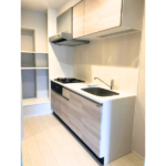 ART RESIDENCE IN KASHIWA-no-HA 502-6
