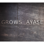 GROWS綾瀬 503-3